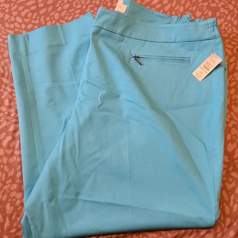 Talbots Heritage Sky Blue Pants